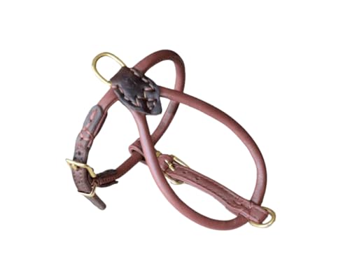 BARRY & LUCY® Hundegeschirr aus Leder - weiches Finish, verstellbares Hundegeschirr, Geschirr für große und kleine Hunde, viele Größen und Farben, klassisch und elegant, 6mm- 34/44cm Hellbraun von BARRY & LUCY