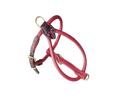 BARRY & LUCY® Hundegeschirr aus Leder - weiches Finish, verstellbares Hundegeschirr, Geschirr für große und kleine Hunde, viele Größen und Farben, klassisch und elegant, 6mm- 34/44cm Rot von BARRY & LUCY