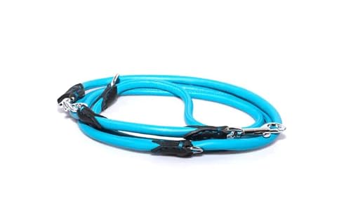 BARRY & LUCY® Hundeleine verstellbare - aus Leder, Leine für kleine und große Hunden, Lange, strapazierfähige Hundeleine, abnehmbar, in vielen Farben (Blau, 10mm- 220 cm) von BARRY & LUCY