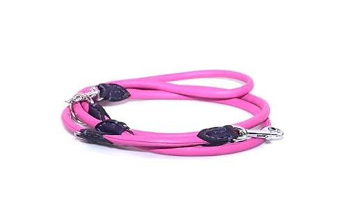 BARRY & LUCY® Hundeleine verstellbare - aus Leder, Leine für kleine und große Hunden, Lange, strapazierfähige Hundeleine, abnehmbar, in vielen Farben (Rosa, 10mm- 220 cm) von BARRY & LUCY