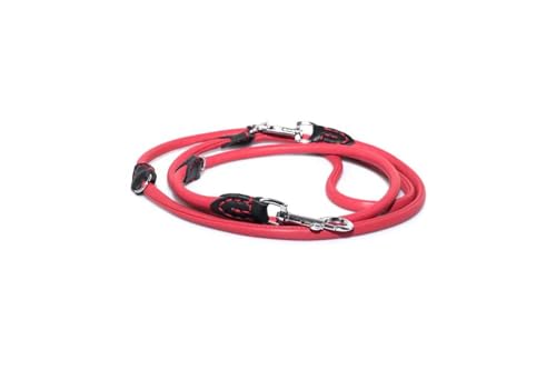 BARRY & LUCY® Hundeleine verstellbare - aus Leder, Leine für kleine und große Hunden, Lange, strapazierfähige Hundeleine, abnehmbar, in vielen Farben (Rot, 12mm- 120cm) von BARRY & LUCY