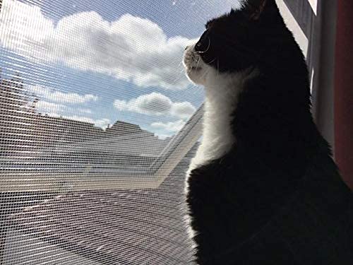BASHI Fensterschutz für Katze, Anti-Moskito-Insekten-Fenster-Netz, reißfest, Fiberglas-Fenster-Ersatznetz, kann zurechtgeschnitten werden von BASHI