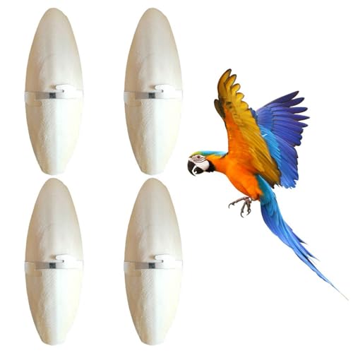4 Stück Sepiaschalen Premium mit 4 Stück Metallhalter, Premium Sepia Schalen Futter, Groß Sepiaschalen für Schildkröten,11-13 cm Tintenfisch Sepia Knochen, Futter für Reptilien, Kalziumversorgung 4 Stück Sepiaschalen Premium mit 4 Stück Metallhalter, Premium Sepia Schalen Futter, Groß Sepiaschalen für Schildkröten,11-13 cm Tintenfisch Sepia Knochen, Futter für Reptilien, Kalziumversorgung von BASTOUR