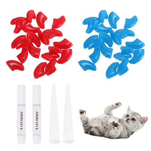 BASTOUR Katzen Nagelschutz, bunte Nagelkapseln für Katzen, weiche Krallenabdeckung für Katzen, Nail Cover, mit Klebeapplikatoren, Anti Scratch Protector Covers, S, 40 Stück BASTOUR Katzen Nagelschutz, bunte Nagelkapseln für Katzen, weiche Krallenabdeckung für Katzen, Nail Cover, mit Klebeapplikatoren, Anti Scratch Protector Covers, S, 40 Stück von BASTOUR