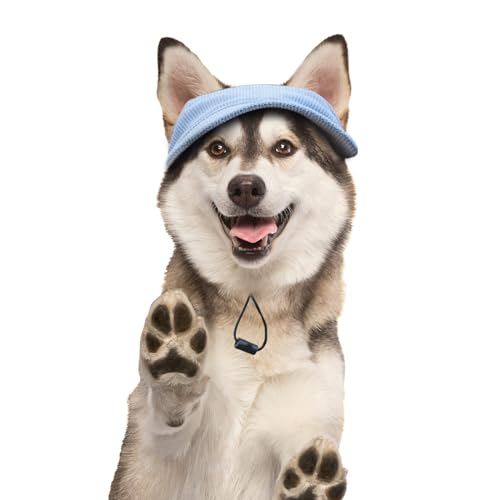 Hunde Baseballmütze - Basecap Verstellbar Sonnenschutz - Hut Hundecap mit Ohrlöchern - Hunde Sonnenhut Benutzt für Sonnenschutz - Hunde Mütze Geeignet für kleine, mittlere und große Hunde (XL, Blau) von BASVII
