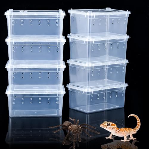 Spinnen-Terrarien, 15 x 9,9 x 6,6 cm, kleine Reptilien-Zuchtbox, transparenter Schlüpfbehälter, Kunststoff-Futterbox für kleine Reptilien, Spinne, Skorpion, Tausendfüßler, 8 Stück von BATTIPAW