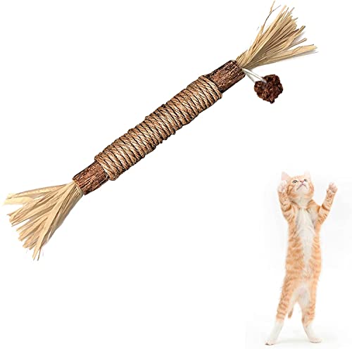 BAWAN Silvervine Katzenminze-Spielzeug für Katzen: Niedliches Katzen- und Kätzchenspielzeug für Indoor-Katzen, interaktiv, Spielzeug für Katzen und Kätzchen, Kauspielzeug für aggressive Kauer, BAWAN Silvervine Katzenminze-Spielzeug für Katzen: Niedliches Katzen- und Kätzchenspielzeug für Indoor-Katzen, interaktiv, Spielzeug für Katzen und Kätzchen, Kauspielzeug für aggressive Kauer, von BAWAN