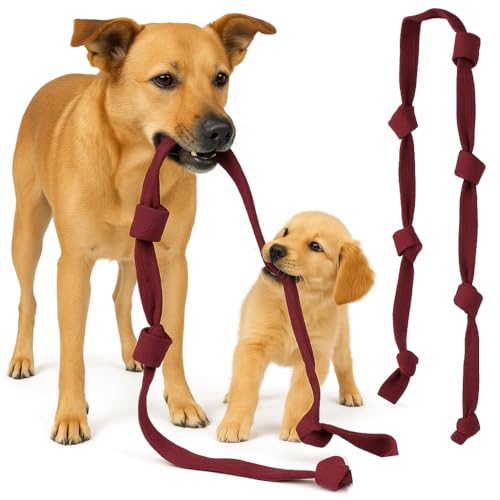 BAY ZerrX Hundespielzeug 280 cm Gurt Seil viele Knoten Tau Zerrspielzeug Hunde zum Zerren und Ziehen Kraft messen Kraftspiele Für kleine mittlere und groß Hunde von BAY
