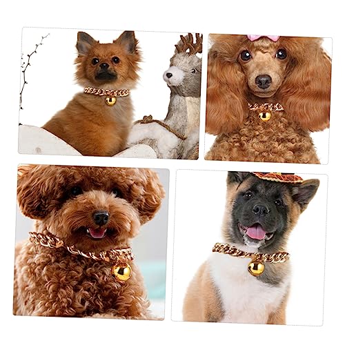 BAZEITFLOW 1 Stück Haustier Hund Katze Hochzeit Namenszubehör Glocken Hunde Und Halsband Groß Verstellbar Mit Fellpflege Dicke Haustierkette Halskette Halsband Hundedekoration Haustierglocke BAZEITFLOW 1 Stück Haustier Hund Katze Hochzeit Namenszubehör Glocken Hunde Und Halsband Groß Verstellbar Mit Fellpflege Dicke Haustierkette Halskette Halsband Hundedekoration Haustierglocke von BAZEITFLOW