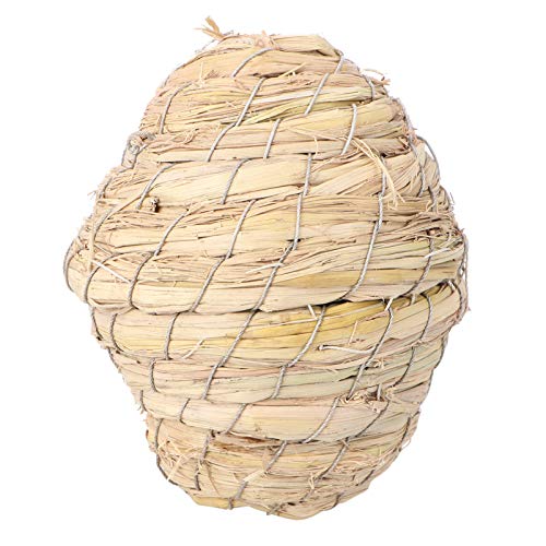 BAZEITFLOW 1 Stück Strohspielzeug Für Kleine Haustiere Zahnstäbchen Hunde Groß Produkt Hamster Meerschweinchenkäfig Welpe Für Haustiere Kaninchen Futterspender Raupe Hundespielzeug BAZEITFLOW 1 Stück Strohspielzeug Für Kleine Haustiere Zahnstäbchen Hunde Groß Produkt Hamster Meerschweinchenkäfig Welpe Für Haustiere Kaninchen Futterspender Raupe Hundespielzeug von BAZEITFLOW