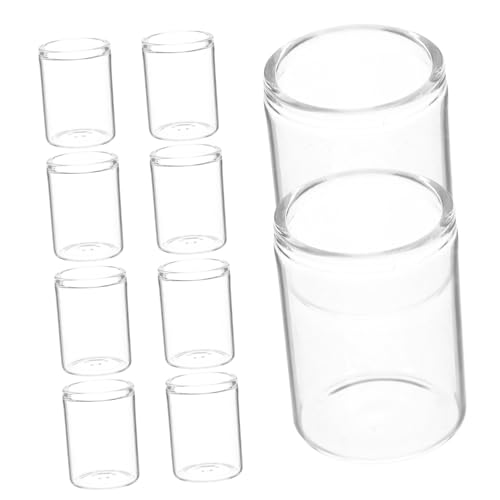 BAZEITFLOW 10 Stück Mini Sukkulenten Glasflaschen Vase Terrarium Sukkulenten Quetsch Gießflasche Mikro Landschaft Öko Flasche Reagenzgläser Für Blumen Mini Blumenhalter Aus Glas von BAZEITFLOW