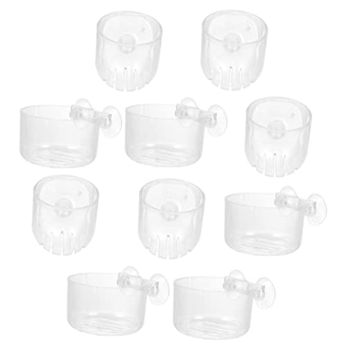 BAZEITFLOW 10 Stück Teiliges Aquarien Pflanztöpfe mit Saugnäpfen mit Löchern für Wasserzirkulation Geeignet für Süßwasserfische Einfache Glatte Oberfläche zur Leichten für Aquarium BAZEITFLOW 10 Stück Teiliges Aquarien Pflanztöpfe mit Saugnäpfen mit Löchern für Wasserzirkulation Geeignet für Süßwasserfische Einfache Glatte Oberfläche zur Leichten für Aquarium von BAZEITFLOW