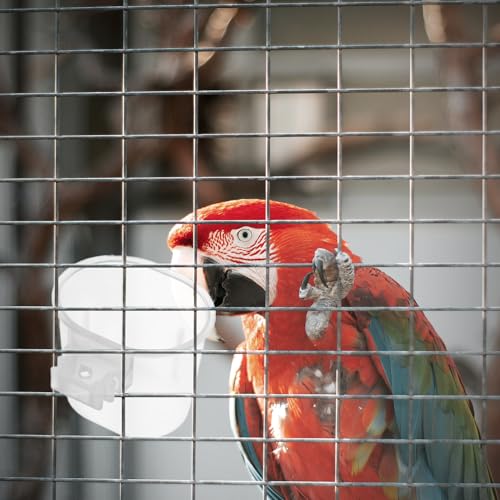 BAZEITFLOW 10 Stück Teiliges Vogel futternapf Aufhängen Kleine Futter Wasserschalen für Papageien und Sittiche Einfache Reinigung Vielseitig Einsetzbar für Käfige und Kleine Haustiere von BAZEITFLOW