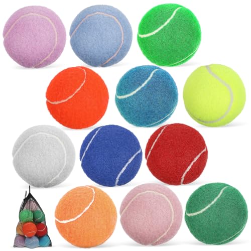 BAZEITFLOW 12 Stück Teiliges Tennisball für Hunde und Welpen Bunte Sichere Spielbälle mit Glatter Oberfläche Praktischem Netzbeutel für Training und Beschäftigung Kleiner bis Mittelgroßer von BAZEITFLOW