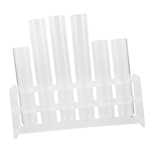 BAZEITFLOW 1Satz Reagenzglas Pflanzenvermehrungsterrarium mit Plastikständer Klare Vermehrungsröhren für Hydrokulturpflanzen Dekorative Tischvase für Zuhause BAZEITFLOW 1Satz Reagenzglas Pflanzenvermehrungsterrarium mit Plastikständer Klare Vermehrungsröhren für Hydrokulturpflanzen Dekorative Tischvase für Zuhause von BAZEITFLOW