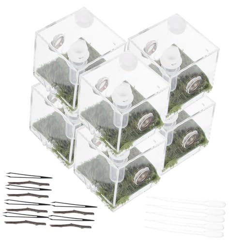 BAZEITFLOW 2 Sätze Springspinnen-zuchtbox Netz Spinnen-streichspielzeug Gehäuse Puzzle Stabheuschrecke Fangset Spider-Terrarium-kit Tank Frosch Haubengecko Brüterei Insekt Käfig Fänger Acryl von BAZEITFLOW