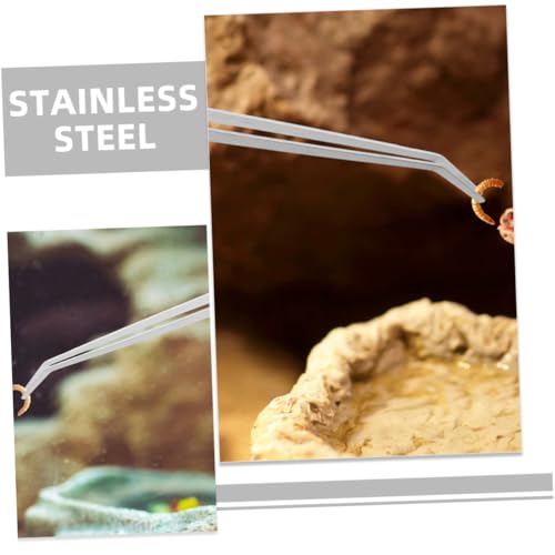 BAZEITFLOW 2 Stück Teiliges Lange Edelstahl Pinzetten für Terrarienfütterung Robuste Reptilien Futterzange mit Geradem und Gebogenem Kopf Langlebige Futterpinzette für Aquarium und Terrarium von BAZEITFLOW