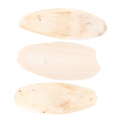BAZEITFLOW 3 Stück Sepiaschalen Kauspielzeug für Papageien Wellensittiche Kleintiere Calciumreiches Beißspielzeug zum Aufhängen im Käfig Sicher und Fördert Zahnpflege und Bewegungsfreude BAZEITFLOW 3 Stück Sepiaschalen Kauspielzeug für Papageien Wellensittiche Kleintiere Calciumreiches Beißspielzeug zum Aufhängen im Käfig Sicher und Fördert Zahnpflege und Bewegungsfreude von BAZEITFLOW