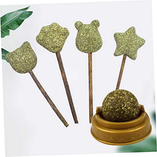 BAZEITFLOW 5 Stück Natürliche Katzenminze Lutschsticks Teilig Set mit Katzenball Katzenkrallen Bärkopf Bär Sternform Katzensnack zur Verdauungsförderung Umweltfreundlich für Katzen und von BAZEITFLOW