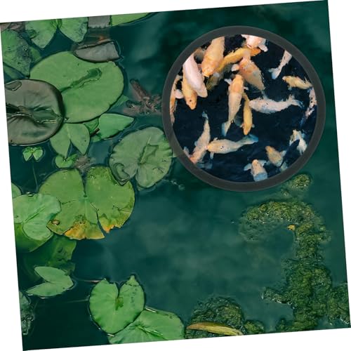 BAZEITFLOW 5 Stück Teiliges Aquarium Futterring aus Langlebigem Kunststoff Schwimmender Pflanzenhalter für Fischfutter Geeignet für Aquariengrößen Optimaler Futterplatz für Einfache Fütterung von BAZEITFLOW