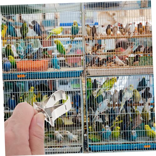 BAZEITFLOW 5 Stück Teiliges Langlebiges Kupfer Obst und Gemüsehalter Futterclip für Papageien Käfig Futterstation Vogel Futterzubehör mit Rückenklemme Einfache BAZEITFLOW 5 Stück Teiliges Langlebiges Kupfer Obst und Gemüsehalter Futterclip für Papageien Käfig Futterstation Vogel Futterzubehör mit Rückenklemme Einfache von BAZEITFLOW