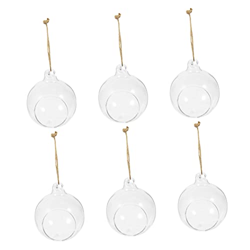 BAZEITFLOW 6 Stück Glaskugel Hängebeckenhalter Vasen Dekorative Hydrokultur Pflanzbehälter Mit Gläsern Wachsende Kugel Glasblumentopf Hängende Blumenvase Kleine Klare Vase Hanfseil BAZEITFLOW 6 Stück Glaskugel Hängebeckenhalter Vasen Dekorative Hydrokultur Pflanzbehälter Mit Gläsern Wachsende Kugel Glasblumentopf Hängende Blumenvase Kleine Klare Vase Hanfseil von BAZEITFLOW