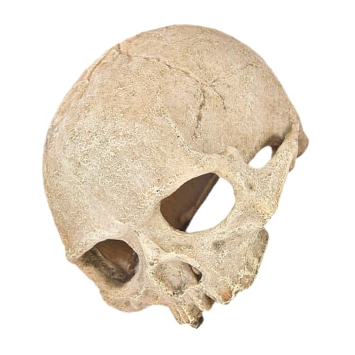 BAZEITFLOW Aquarium Skull Statue aus Resin Schädelhaus als Versteck und Dekoration für Garnelen Fische Reptilien Wie Eidechsen und Schildkröten im Fischbecken Natürlicher Unterschlupf von BAZEITFLOW