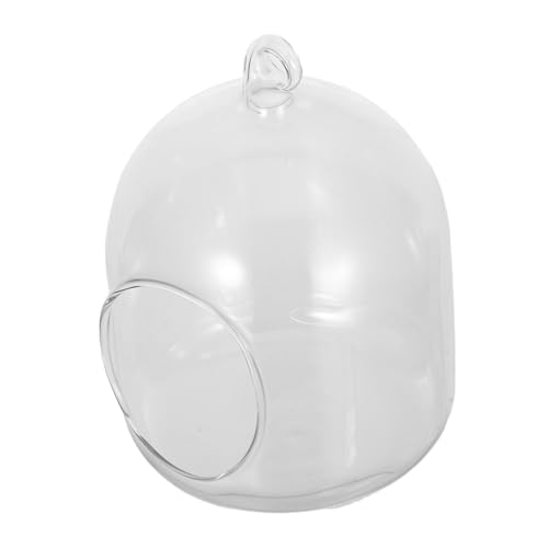 BAZEITFLOW Glasterrarium Für Pflanzen Mini-Terrarium Mit Moos Für Schreibtisch Und Büro Pflegeleichter Offener Übertopf Für Miniatur-tischdekoration BAZEITFLOW Glasterrarium Für Pflanzen Mini-Terrarium Mit Moos Für Schreibtisch Und Büro Pflegeleichter Offener Übertopf Für Miniatur-tischdekoration von BAZEITFLOW