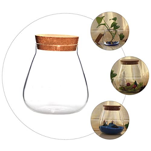 BAZEITFLOW Glasvase mit Korkverschluss Transparentes DIY Terrarium Gefäß für Landschaften Dekoratives Aufbewahrungsglas für Süßigkeiten Obst und Kleine Gegenstände Geschenkidee für Zuhause BAZEITFLOW Glasvase mit Korkverschluss Transparentes DIY Terrarium Gefäß für Landschaften Dekoratives Aufbewahrungsglas für Süßigkeiten Obst und Kleine Gegenstände Geschenkidee für Zuhause von BAZEITFLOW