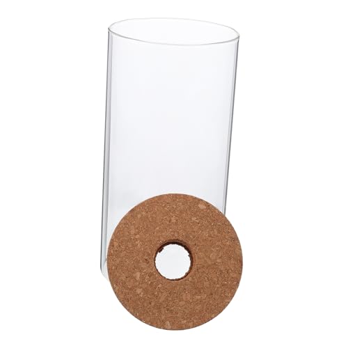 BAZEITFLOW Hochborosilikatglas Ökologische DIY Mikrolandschaft Flasche Transparentes Pflanzengefäß für Moos Desktop Dekoration Wohnzimmer Büro BAZEITFLOW Hochborosilikatglas Ökologische DIY Mikrolandschaft Flasche Transparentes Pflanzengefäß für Moos Desktop Dekoration Wohnzimmer Büro von BAZEITFLOW