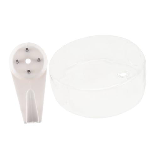 BAZEITFLOW Hydroponischer Blumentopf Aus Glas Hängepflanzentöpfe Sukkulenten Kleine Vase Garten Innenbereich Violett Wandpflanzer Farbe Hydrokultur Außenbereich Transparentes BAZEITFLOW Hydroponischer Blumentopf Aus Glas Hängepflanzentöpfe Sukkulenten Kleine Vase Garten Innenbereich Violett Wandpflanzer Farbe Hydrokultur Außenbereich Transparentes von BAZEITFLOW