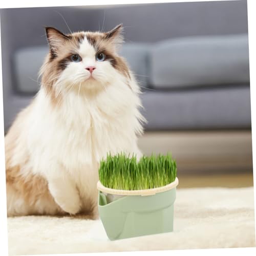BAZEITFLOW Katzengras Pflanzbecher Hydroponisch Bodenlos Große Anzuchtfläche Für Katzenminze Katzen Katzenhalter Zuhause Pflegeleicht von BAZEITFLOW
