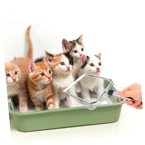 BAZEITFLOW Katzenstreuschaufel aus Katzenschaufel Scoop Katzenstreusieb Katzensand Netzstreuschaufel Abfallschaufel mit langem Griff katzentoilettenschaufel Metall pp Silber BAZEITFLOW Katzenstreuschaufel aus Katzenschaufel Scoop Katzenstreusieb Katzensand Netzstreuschaufel Abfallschaufel mit langem Griff katzentoilettenschaufel Metall pp Silber von BAZEITFLOW