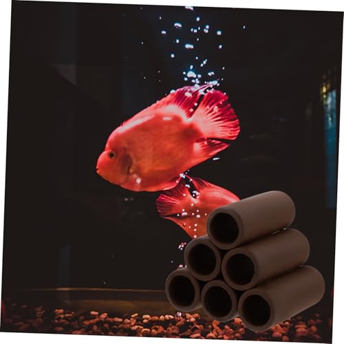 BAZEITFLOW Keramik Aquarium Höhle Versteck mit Röhren Design für Garnelen und Fische Stabiles Fischversteck Stressreduzierendes Zucht und Rückzugsornament Dekorative Aquarienlandschaft BAZEITFLOW Keramik Aquarium Höhle Versteck mit Röhren Design für Garnelen und Fische Stabiles Fischversteck Stressreduzierendes Zucht und Rückzugsornament Dekorative Aquarienlandschaft von BAZEITFLOW