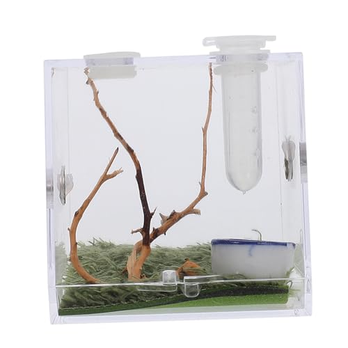 BAZEITFLOW Kleine Spinnen Aufzuchtbox mit Belüftungslöchern Feuchtigkeitsbeständig und Bruchsicher Geeignet für Springspinnen und Kleine Haustiere Transparenter Beobachtungsbehälter für BAZEITFLOW Kleine Spinnen Aufzuchtbox mit Belüftungslöchern Feuchtigkeitsbeständig und Bruchsicher Geeignet für Springspinnen und Kleine Haustiere Transparenter Beobachtungsbehälter für von BAZEITFLOW