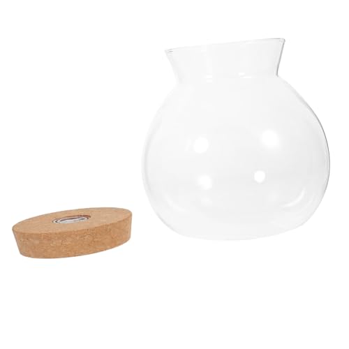 BAZEITFLOW LED Glasflasche Aquarium mit LED Beleuchtung Dekorative Ökologische Vase für DIY Mikrolandschaft Klare Sicht Kreatives Home Decor für Wohnzimmer und Büro BAZEITFLOW LED Glasflasche Aquarium mit LED Beleuchtung Dekorative Ökologische Vase für DIY Mikrolandschaft Klare Sicht Kreatives Home Decor für Wohnzimmer und Büro von BAZEITFLOW