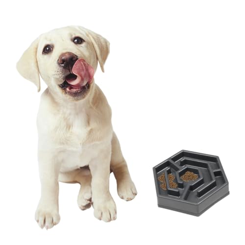 BAZEITFLOW Langsame für Katzen und Kleine Hunde Kreative Blütenblatt Form Grauer Rutschfester Futternapf aus Strapazierfähigem Resin Kippend Sicher und Verschleißfest BAZEITFLOW Langsame für Katzen und Kleine Hunde Kreative Blütenblatt Form Grauer Rutschfester Futternapf aus Strapazierfähigem Resin Kippend Sicher und Verschleißfest von BAZEITFLOW