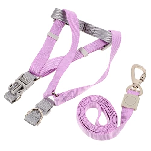 BAZEITFLOW Leichtes Verstellbares Hundegeschirr mit Doppelt D förmigen Metallringen und Robustem Beißschutz Kleines Welpengeschirr und Leine Set für Komfortables Outdoor Spaziergang BAZEITFLOW Leichtes Verstellbares Hundegeschirr mit Doppelt D förmigen Metallringen und Robustem Beißschutz Kleines Welpengeschirr und Leine Set für Komfortables Outdoor Spaziergang von BAZEITFLOW