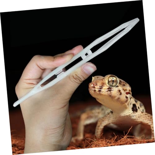 BAZEITFLOW Leuchtende Futterzange aus Robustem PP Kunststoff Sichere Pinzette zum Füttern von Reptilien Insekten und Rostfrei für Züchter und Hobbyhalter BAZEITFLOW Leuchtende Futterzange aus Robustem PP Kunststoff Sichere Pinzette zum Füttern von Reptilien Insekten und Rostfrei für Züchter und Hobbyhalter von BAZEITFLOW