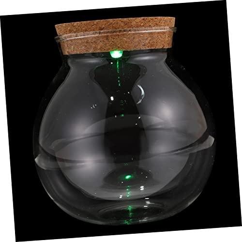 BAZEITFLOW Micro Landschaftsflasche mit Deckel DIY Terrarium Glasflasche für Kreative Dekorationen für Pflanzen und Moos Langlebig und für und Außenbereich von BAZEITFLOW