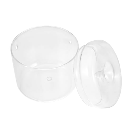 BAZEITFLOW Mikrolandschaftspflanzen Anlage Vase Einmachgläser Mikro-landschaftsbau-Container Pflanzen Flasche Leeres Terrarium Moos Landschaft Container Mikro-landschaftsbehälter Glas von BAZEITFLOW