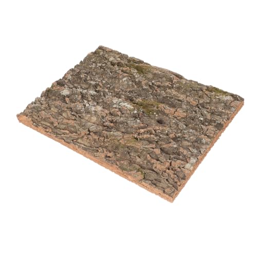 BAZEITFLOW Natürliche Korkrinde Terrarium Rückwand Reptilien Kletterfläche Dekoration für Schildkröten Eidechsen Gecko Bartagame Aquarium Hintergrund BAZEITFLOW Natürliche Korkrinde Terrarium Rückwand Reptilien Kletterfläche Dekoration für Schildkröten Eidechsen Gecko Bartagame Aquarium Hintergrund von BAZEITFLOW