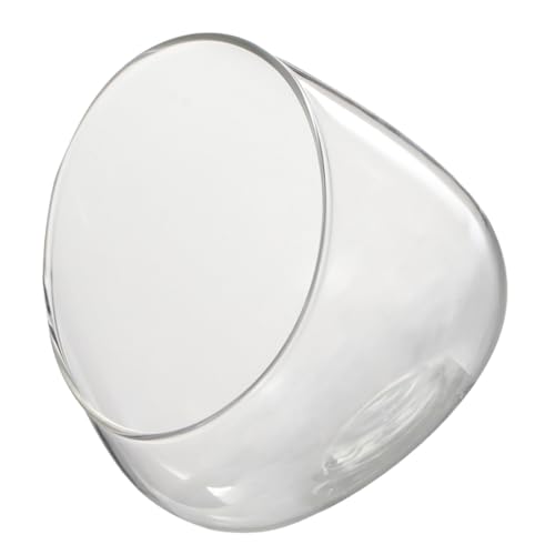 BAZEITFLOW Ökologische Glasflasche mit Abgeschrägtem Transparentes Micro Terrarium für Sukkulenten und Moos Vielseitiges Dekorations und Aufbewahrungsglas für Zuhause und Büro BAZEITFLOW Ökologische Glasflasche mit Abgeschrägtem Transparentes Micro Terrarium für Sukkulenten und Moos Vielseitiges Dekorations und Aufbewahrungsglas für Zuhause und Büro von BAZEITFLOW