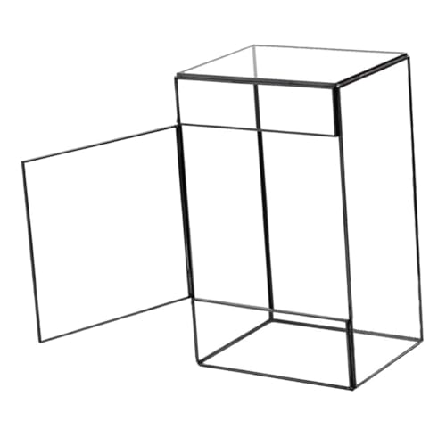 BAZEITFLOW Pflanzen Dekoratives Terrariengefäß Transparenter Landschaftshalter Moosterrarium für DIY Projekte und Tischdekoration von BAZEITFLOW