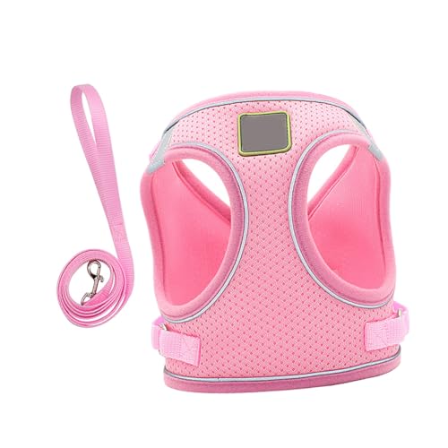 BAZEITFLOW Reflektierendes Hundegeschirr Set Brustgeschirr und Leine Atmungsaktiv Welpengeschirr für Kleine Hunde Xs BAZEITFLOW Reflektierendes Hundegeschirr Set Brustgeschirr und Leine Atmungsaktiv Welpengeschirr für Kleine Hunde Xs von BAZEITFLOW