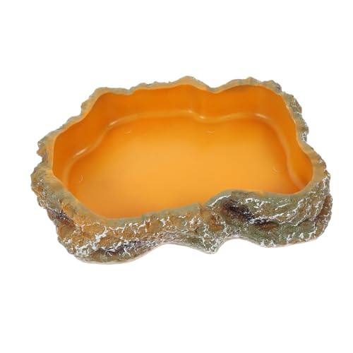 BAZEITFLOW Reptilien Futter und Wasserschale Natürliches Design Ausbruchsicher für Schildkröten und Echsen Optimale für Terrarien und Haustierfütterung BAZEITFLOW Reptilien Futter und Wasserschale Natürliches Design Ausbruchsicher für Schildkröten und Echsen Optimale für Terrarien und Haustierfütterung von BAZEITFLOW