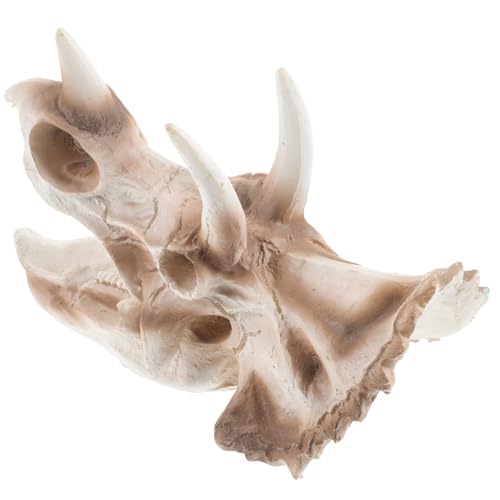 BAZEITFLOW Resin Dinosaur Skull Aquarium Ornament Große Dinosaurier Figur Tischdekoration für Aquarium und Innenhof Langlebige Harz Dekoration für Schreibtisch und von BAZEITFLOW