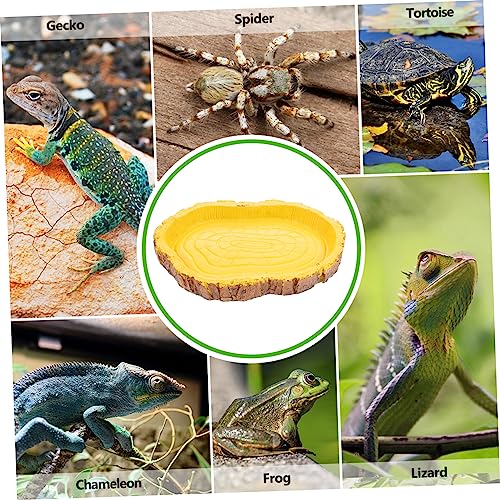 BAZEITFLOW Resin Reptilien Futterschale für Schildkröten und Eidechsen Robustes Futter und Wassernapf Naturnahe Farbe Leicht zu Reinigen Geeignet für Terrarien und Zufällige Zufällige Farbe von BAZEITFLOW