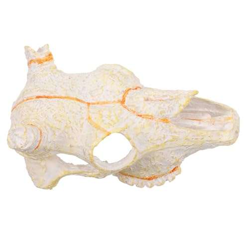 BAZEITFLOW Resin Reptilienversteck Bullenschädel Statue Aquarium Dekoration Langlebig Vielseitig als Höhle und Plattform für Kleine Fische und Reptilien Terrarien Geeignet BAZEITFLOW Resin Reptilienversteck Bullenschädel Statue Aquarium Dekoration Langlebig Vielseitig als Höhle und Plattform für Kleine Fische und Reptilien Terrarien Geeignet von BAZEITFLOW