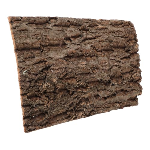 BAZEITFLOW Rinde-hintergrundtafel Gecko-Terrarium Natürliche Korkrinde Zubehör Für Geckobecken Lebensraum Für Reptilien Aus Korkrinde Schildkrötenhaus Züchten Wurf Holz Coffee von BAZEITFLOW